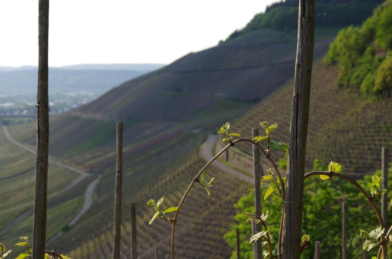 Weingut Weich Hotel Riol Exterior foto