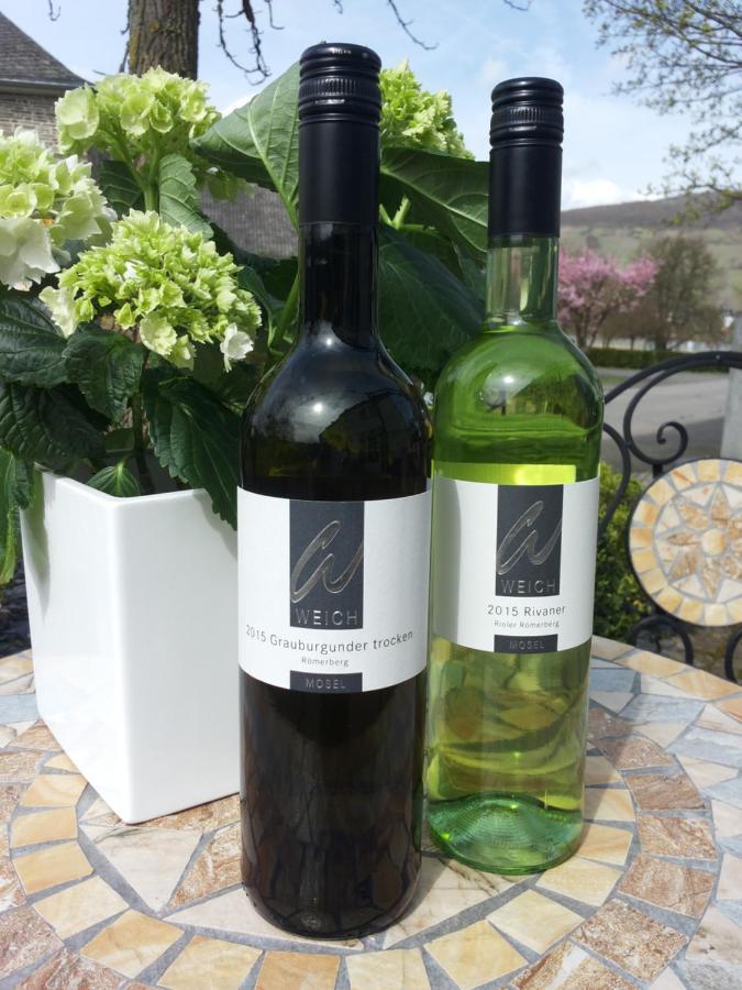 Weingut Weich Hotel Riol Exterior foto