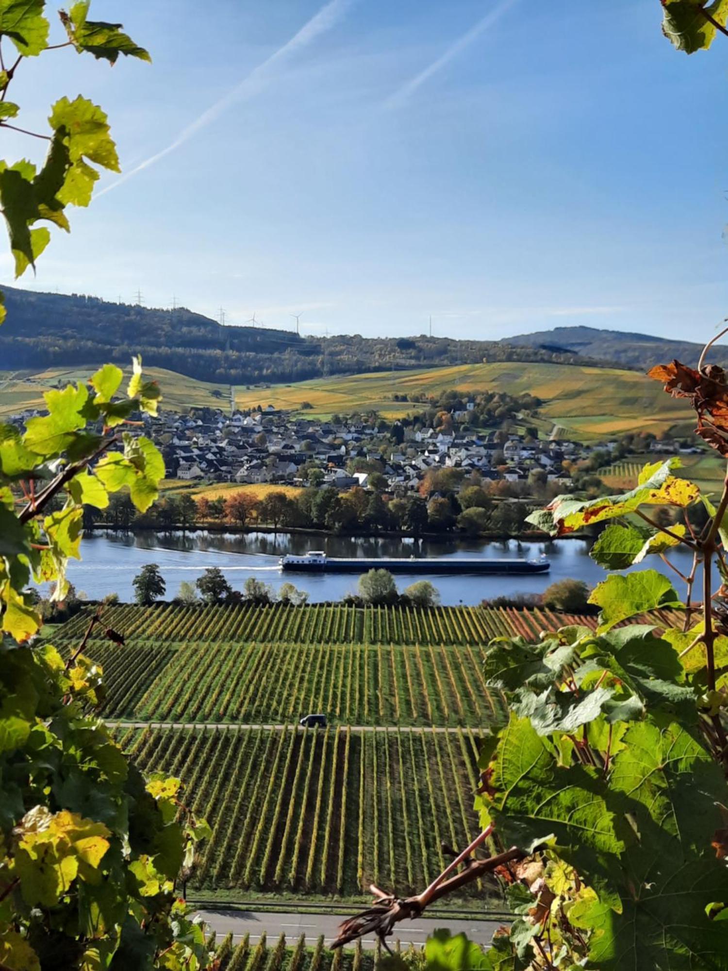 Weingut Weich Hotel Riol Exterior foto